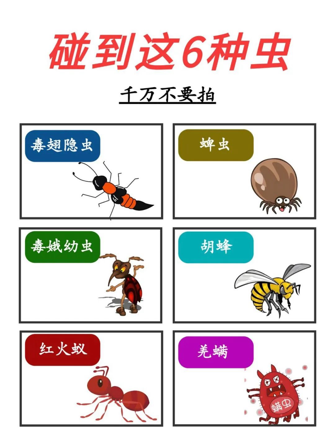 碰到这6种虫千万不要用手拍科普涨知识