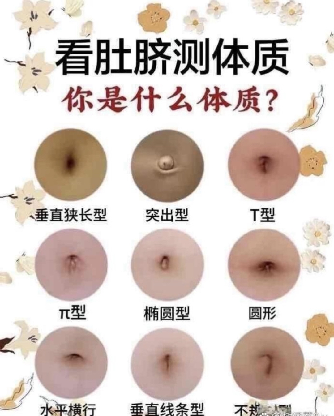 快对照看看自己是哪种肚脐形状,说不定能从中发现关于