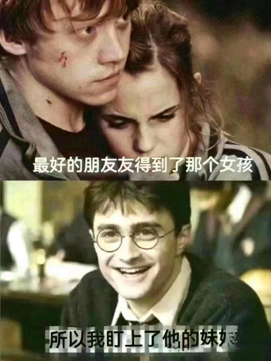 哈利波特梗图哈利波特