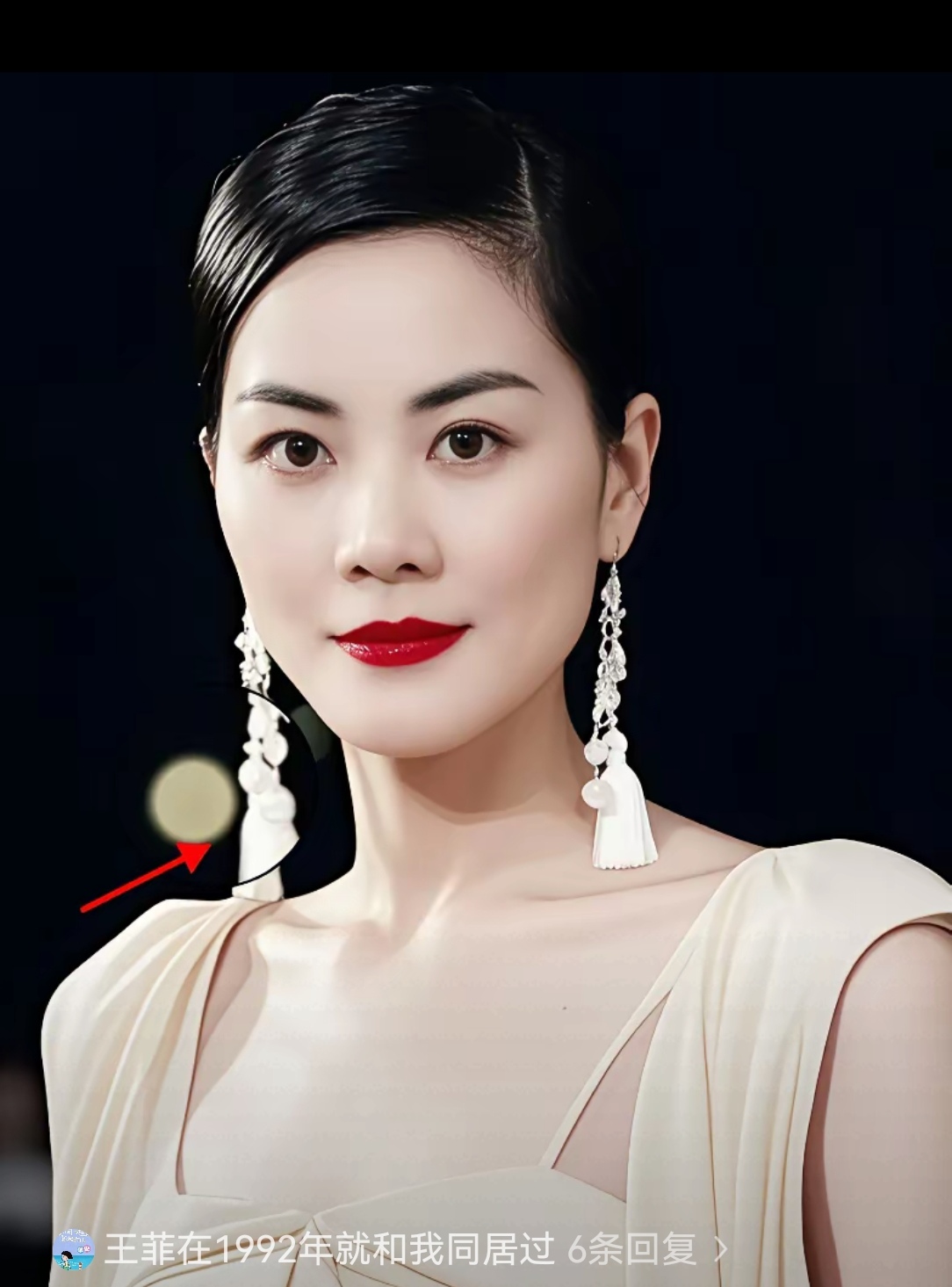 王菲didar
