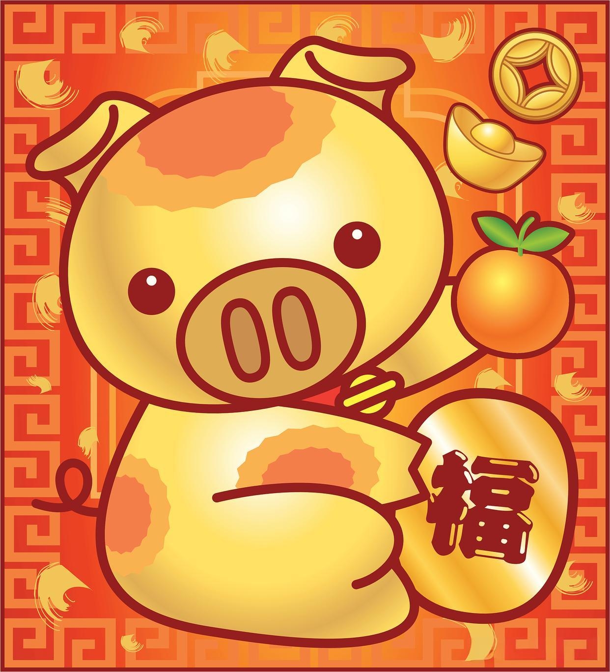 生肖猪未来鸡年运势(生肖猪未来鸡年运势怎么样)