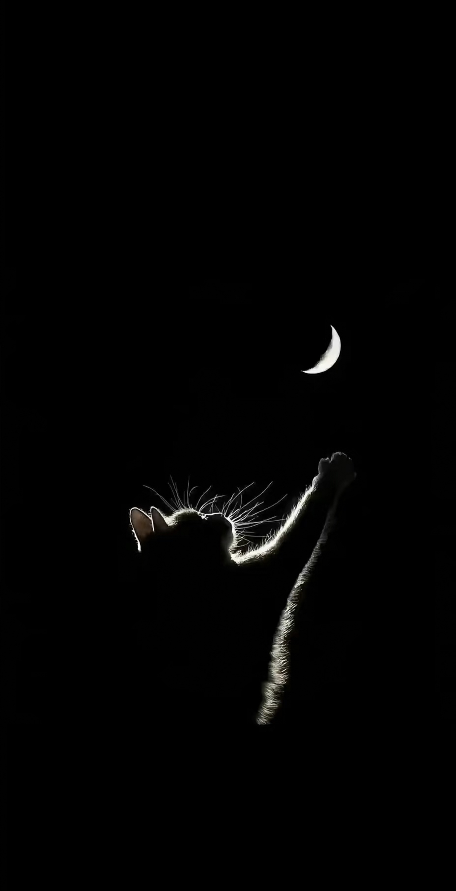 不伤眼睛的暗色系壁纸