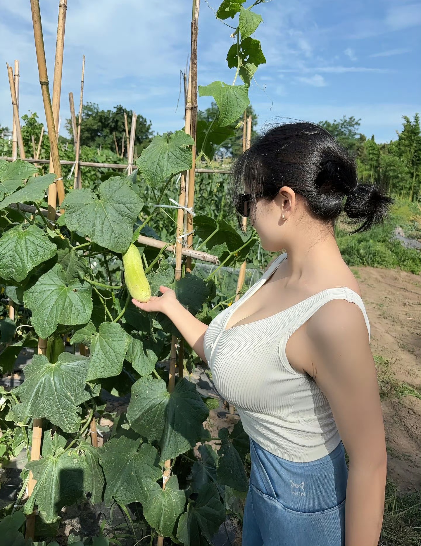 不得不说,还是农村好,农村就是宝,瓜果蔬菜自己种,没有一点科技与狠活
