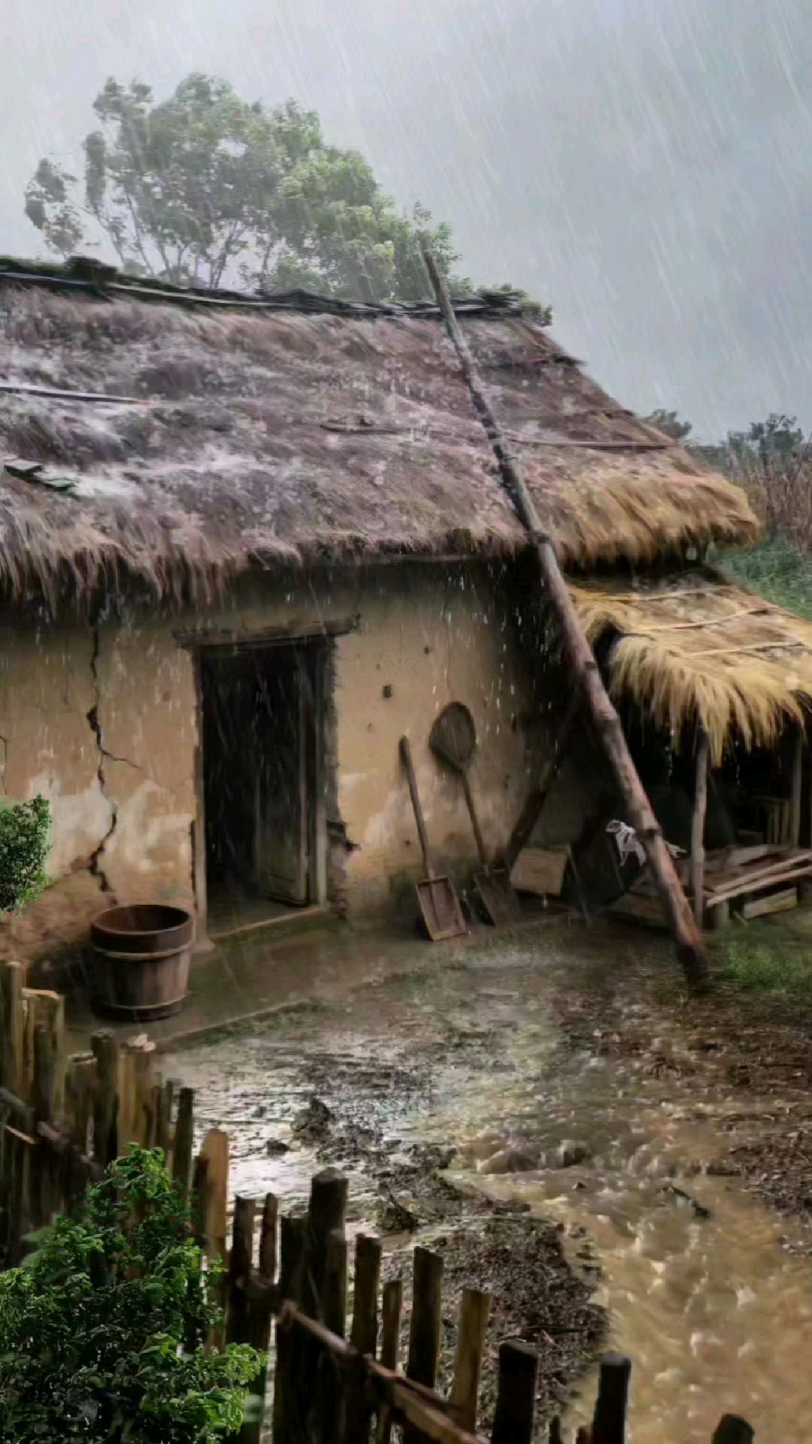 下雨天茅草屋的记忆