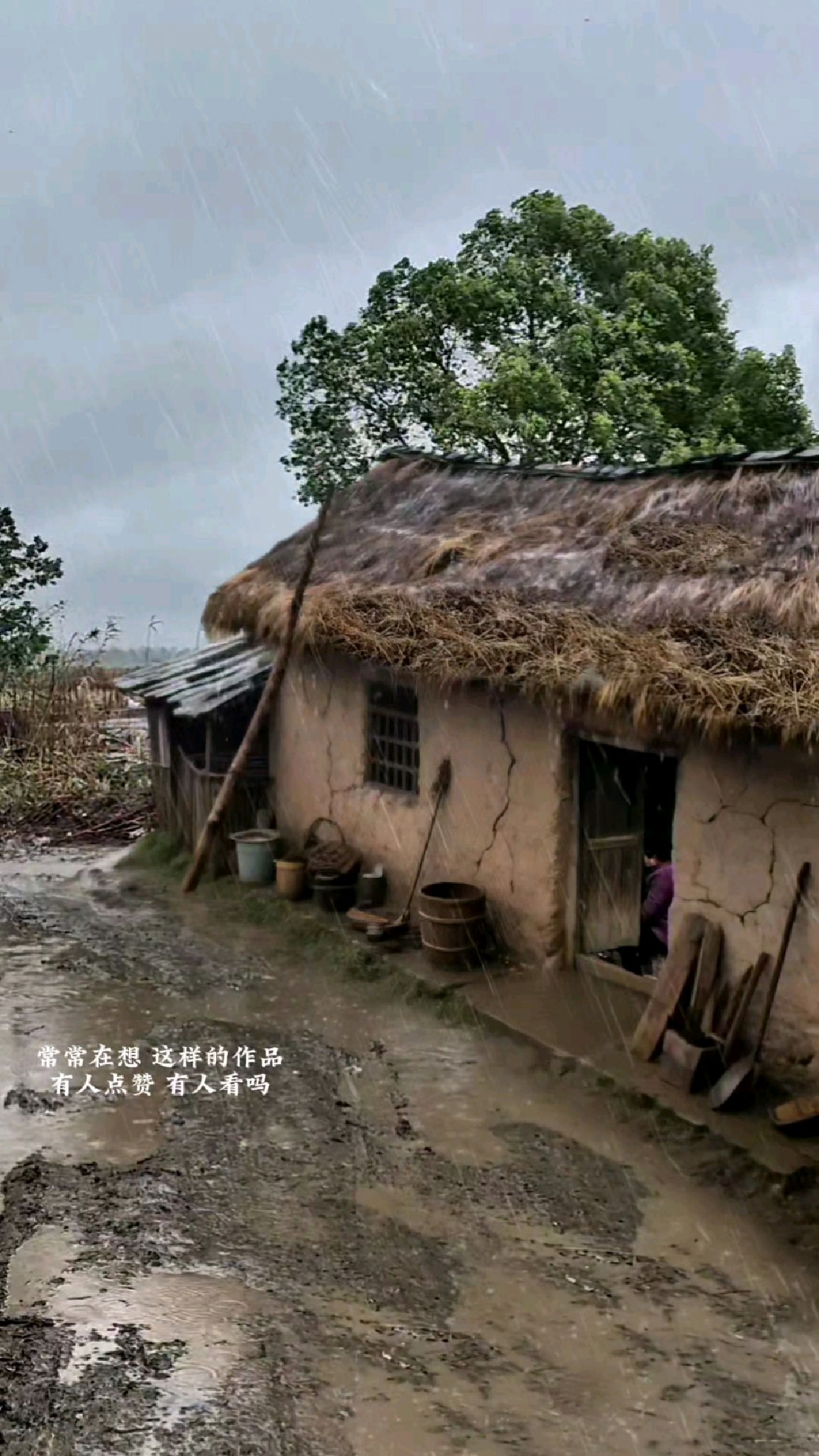 小时候住茅草屋下雨天的回忆