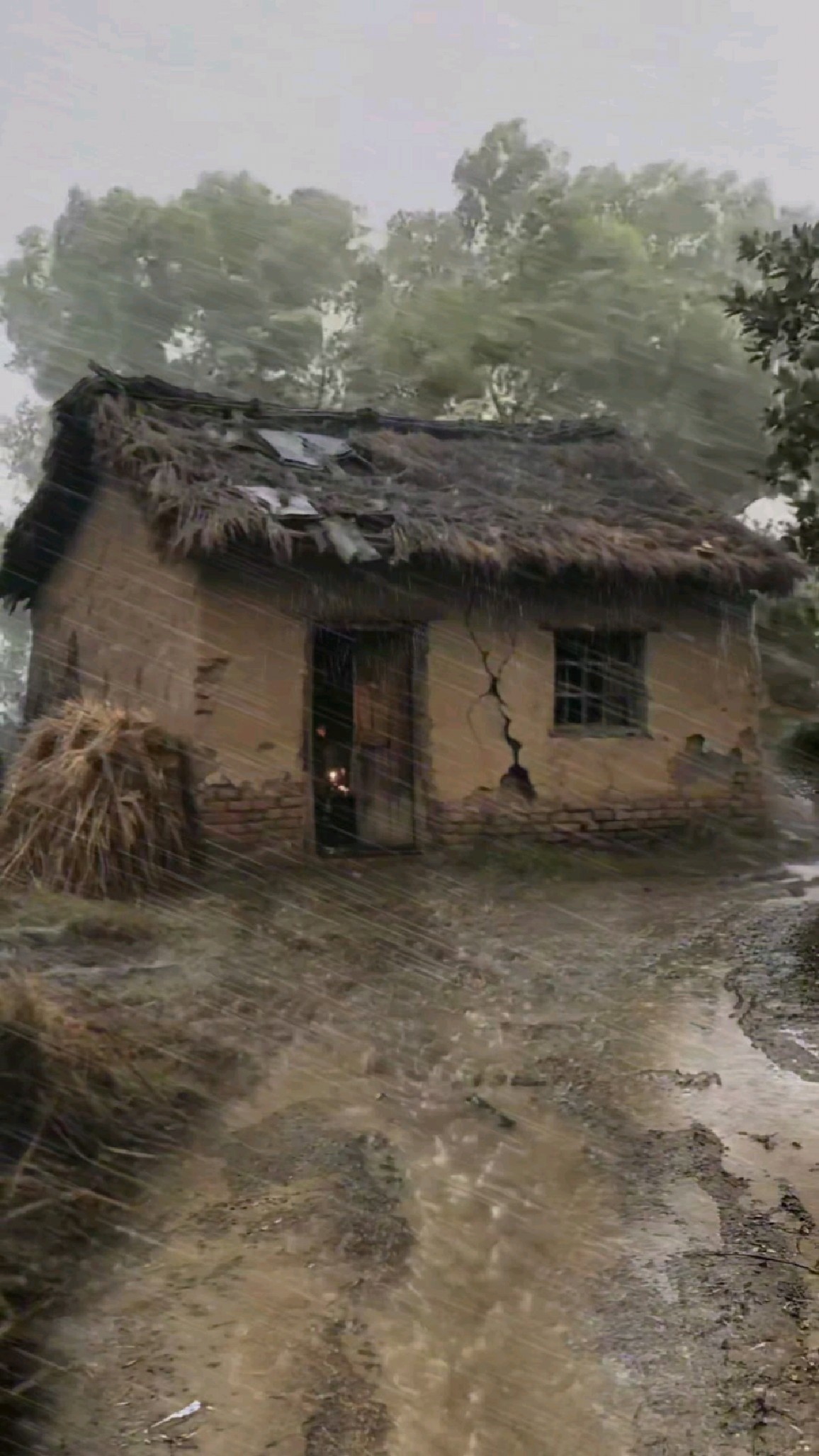 为什么现在没有人相信呢?我小时候就是住这样茅草屋过来的!