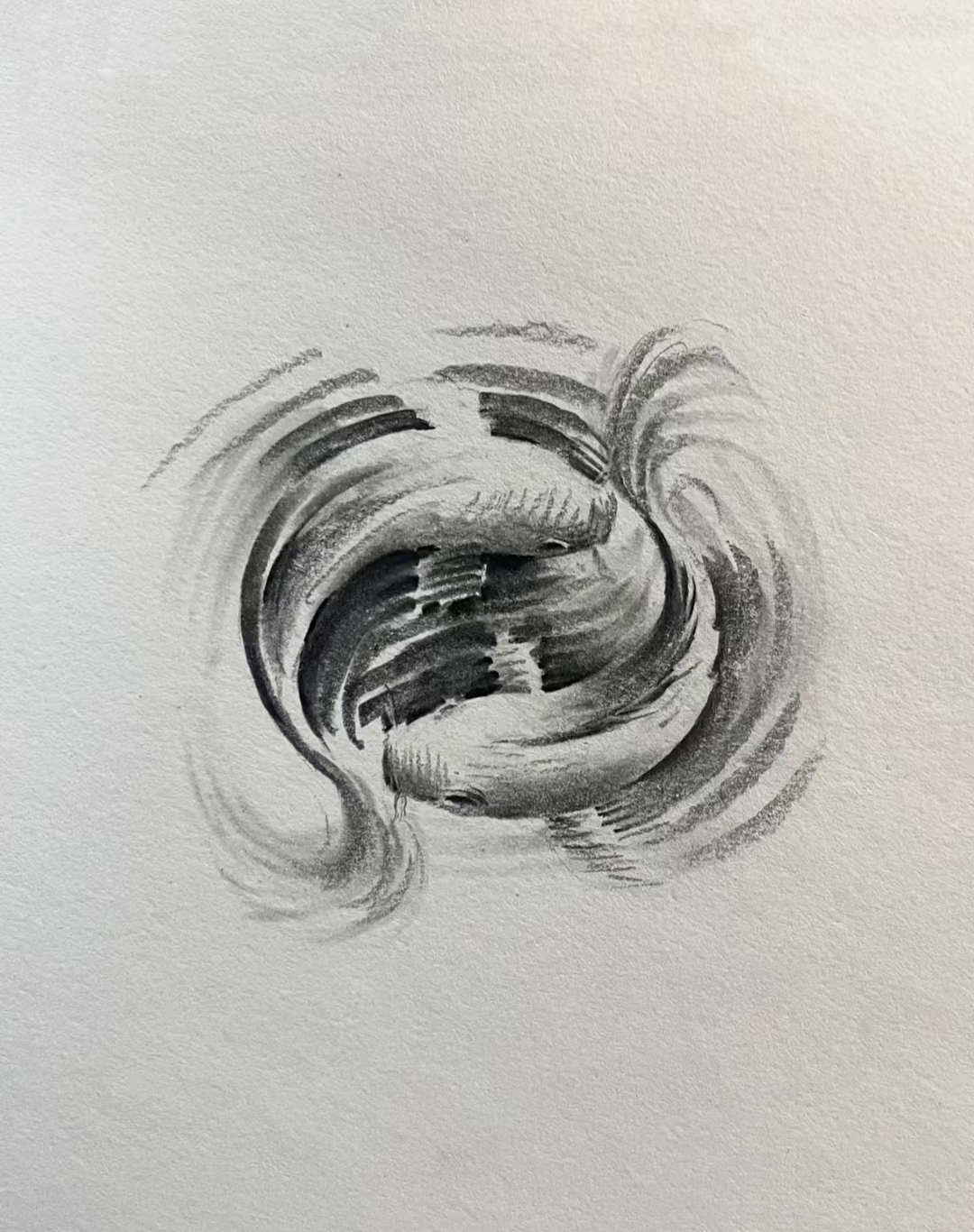 给大家带来一组神奇的动物世界速写!