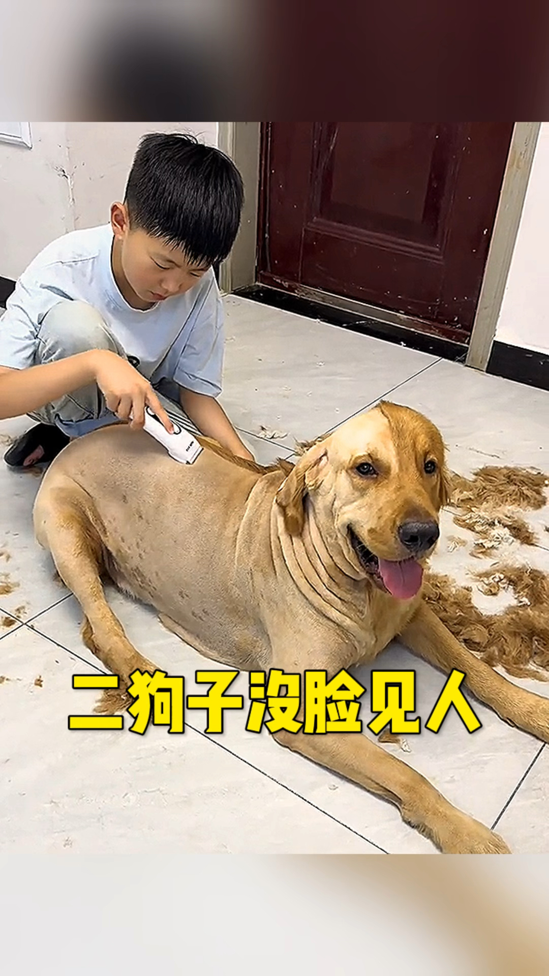 二狗子没脸见人了