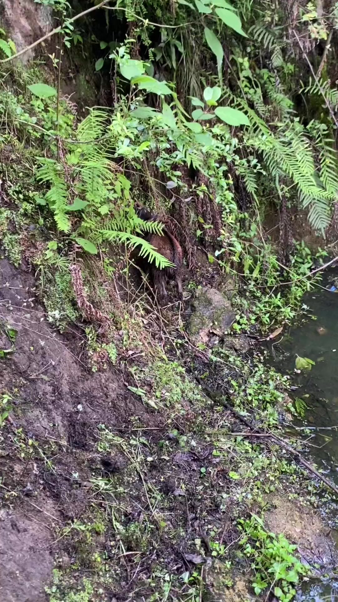 这孩子真惨,浑身被雨水浇得透湿!