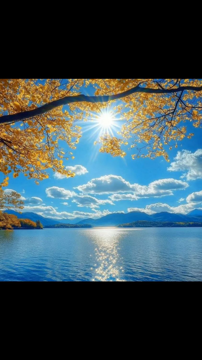 能量头像|金光闪闪,背靠大山,阳光普照