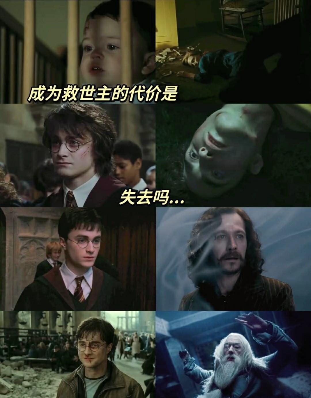致我们鱼死网破的胜利哈利波特