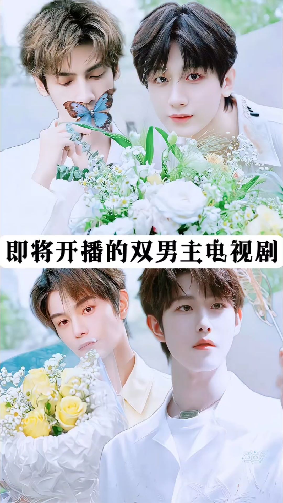 即将开播的双男主电视剧你期待哪一部?