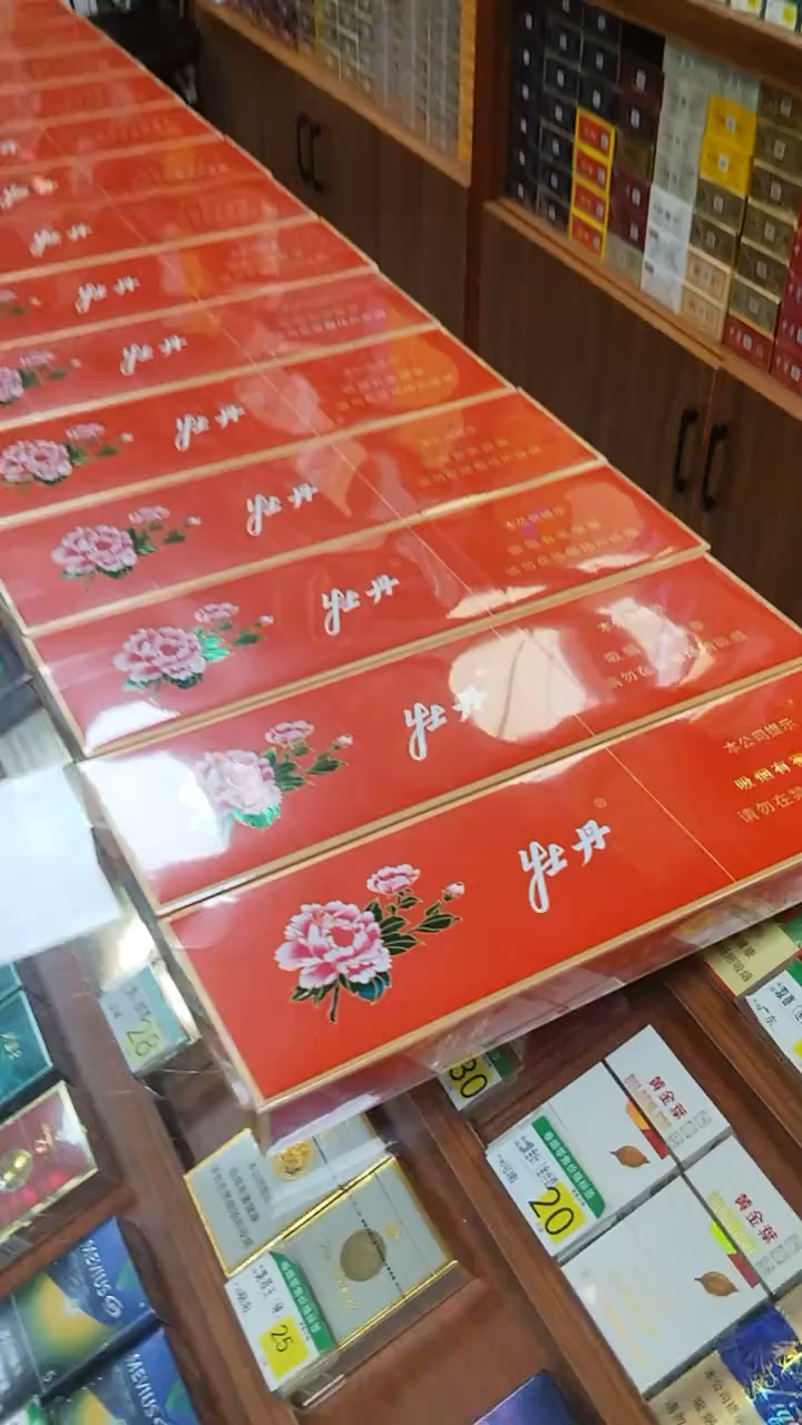 日常分享#红牡丹 中支