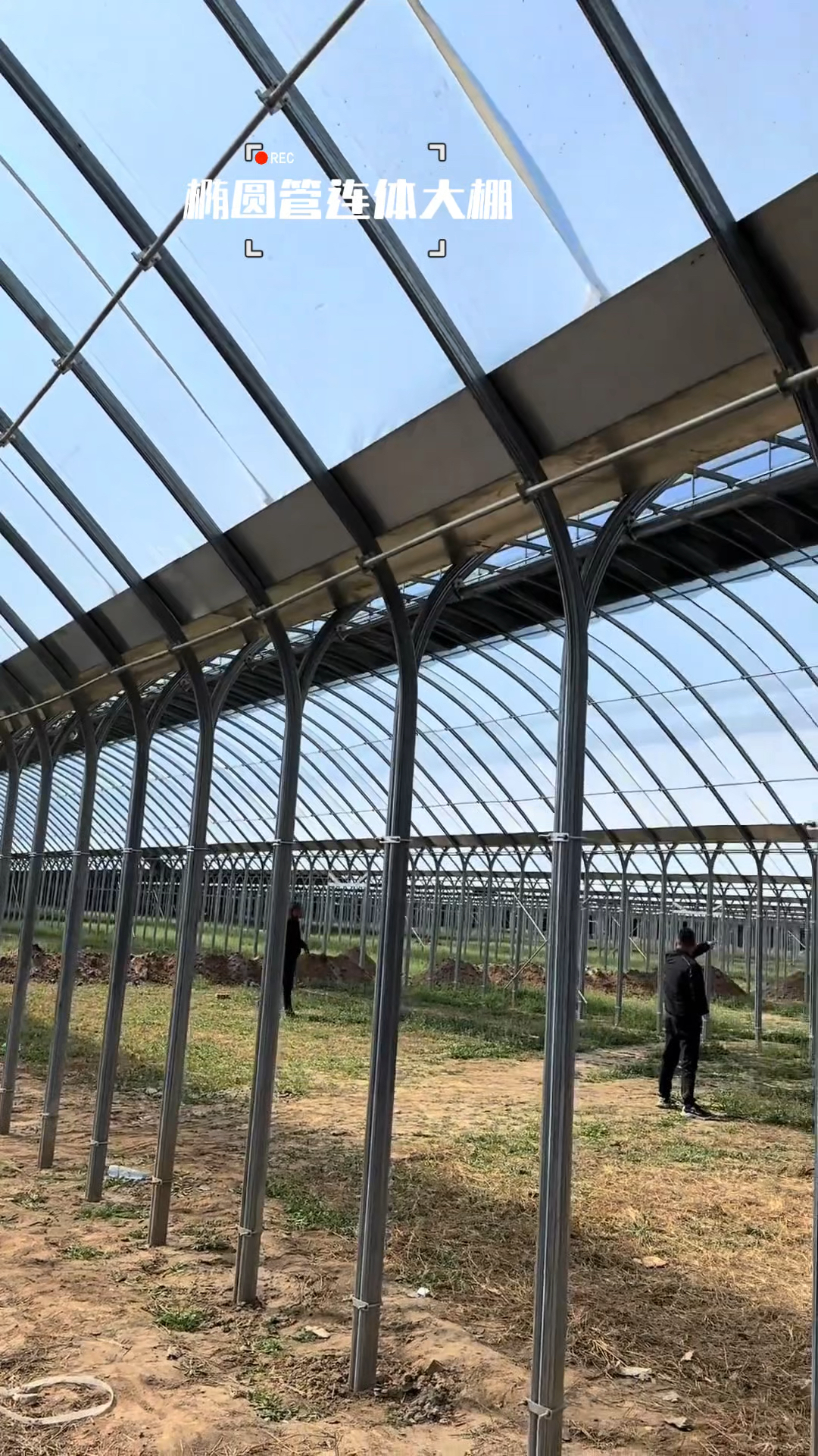 新型椭圆管连体大棚