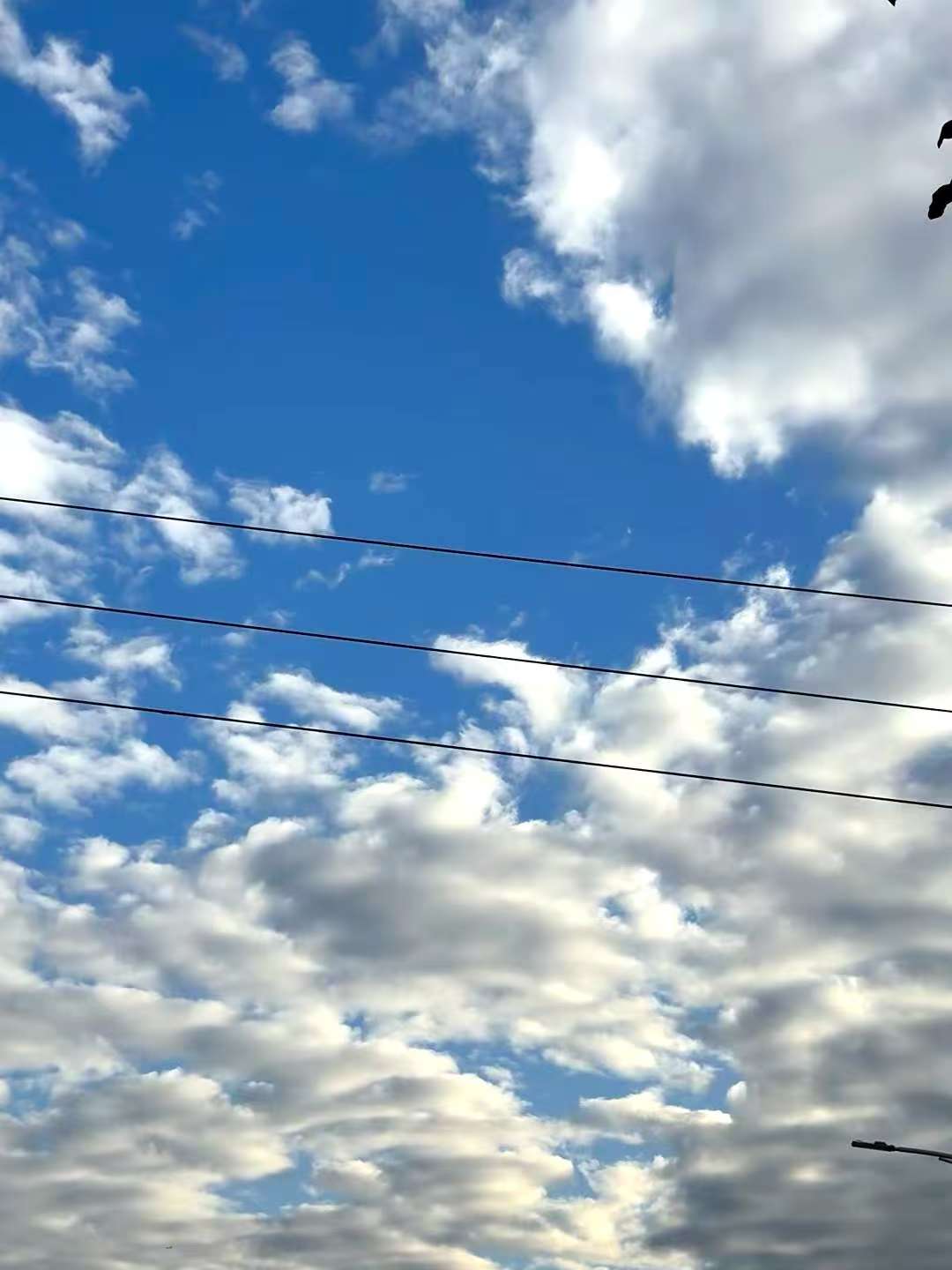 晴空万里