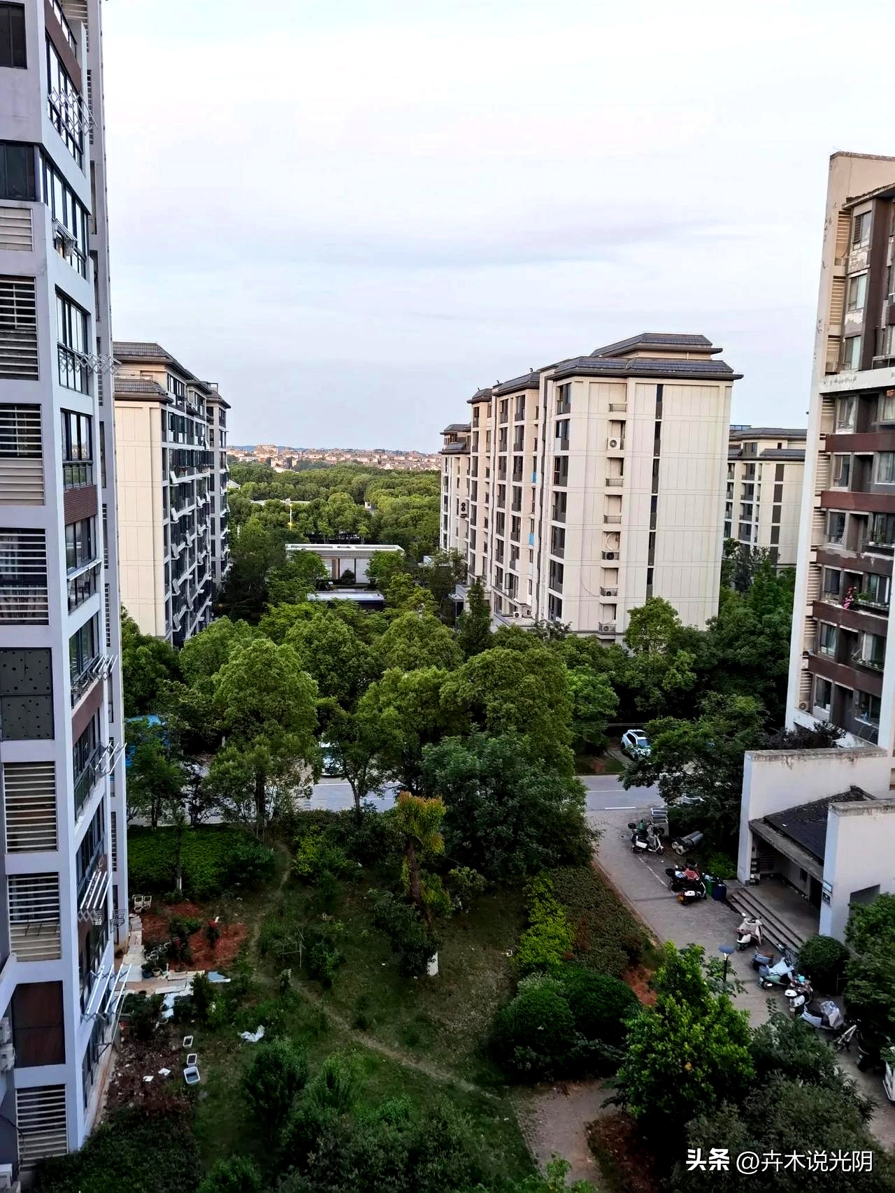 退休金一到账秒转一半,过年红包直接甩两万!