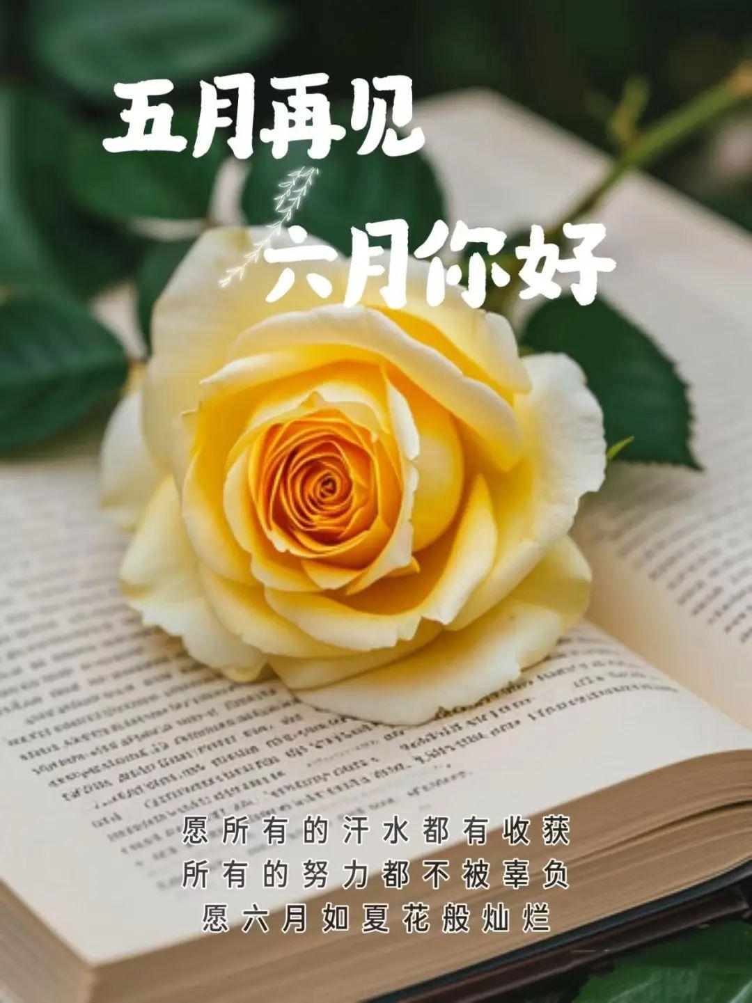 适合六月发的朋友圈文案建议收藏