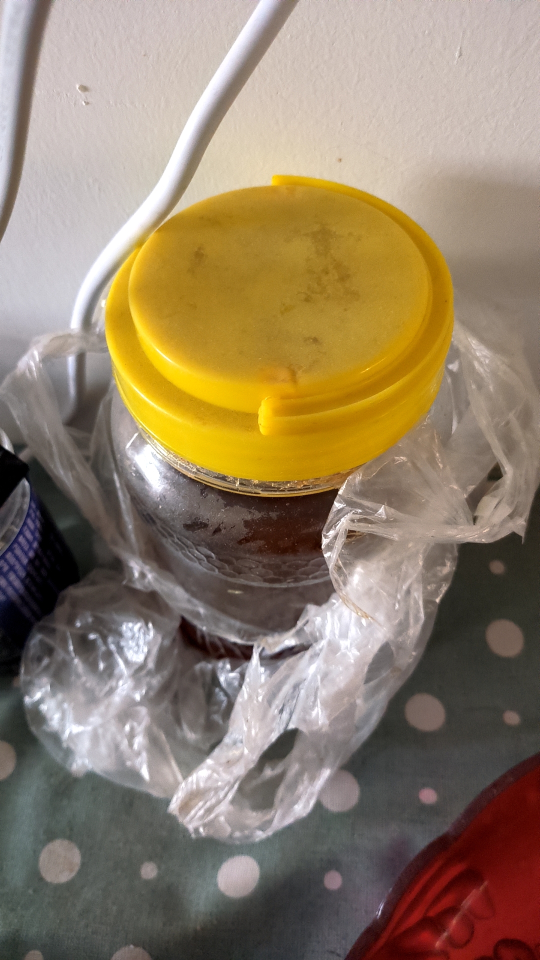 蜂蜜放着会坏吗为什么(蜂蜜放久了会变质吗?) 蜂蜜放着会坏吗为什么(蜂蜜放久了会变质吗?)