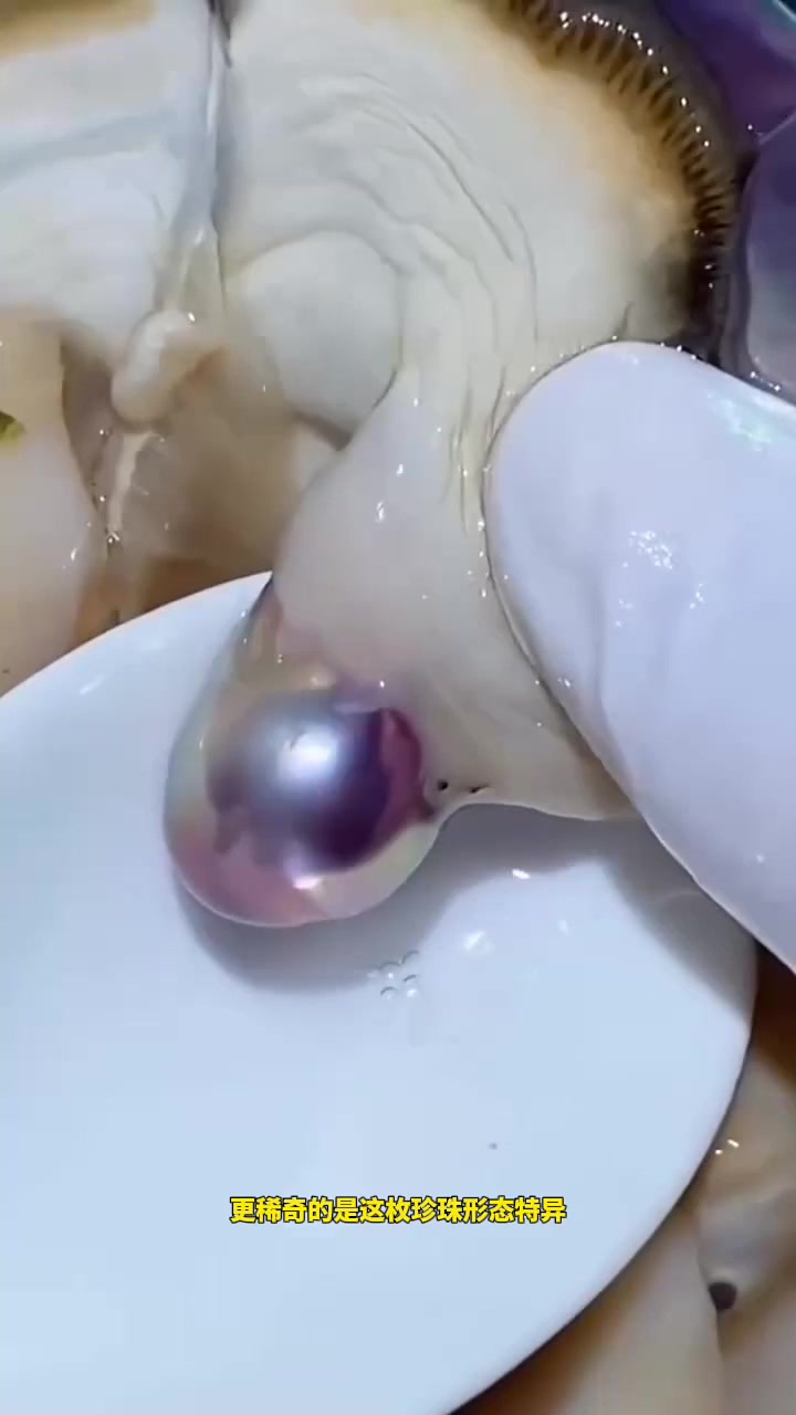 河蚌里艳丽的珍珠