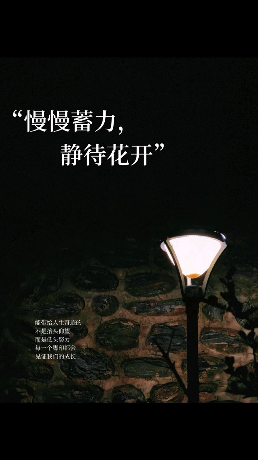 慢慢蓄力,静待花开