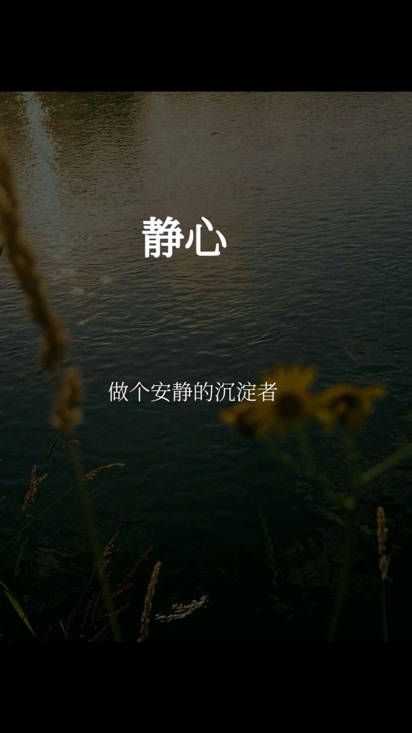 静心,做个安静的沉淀者