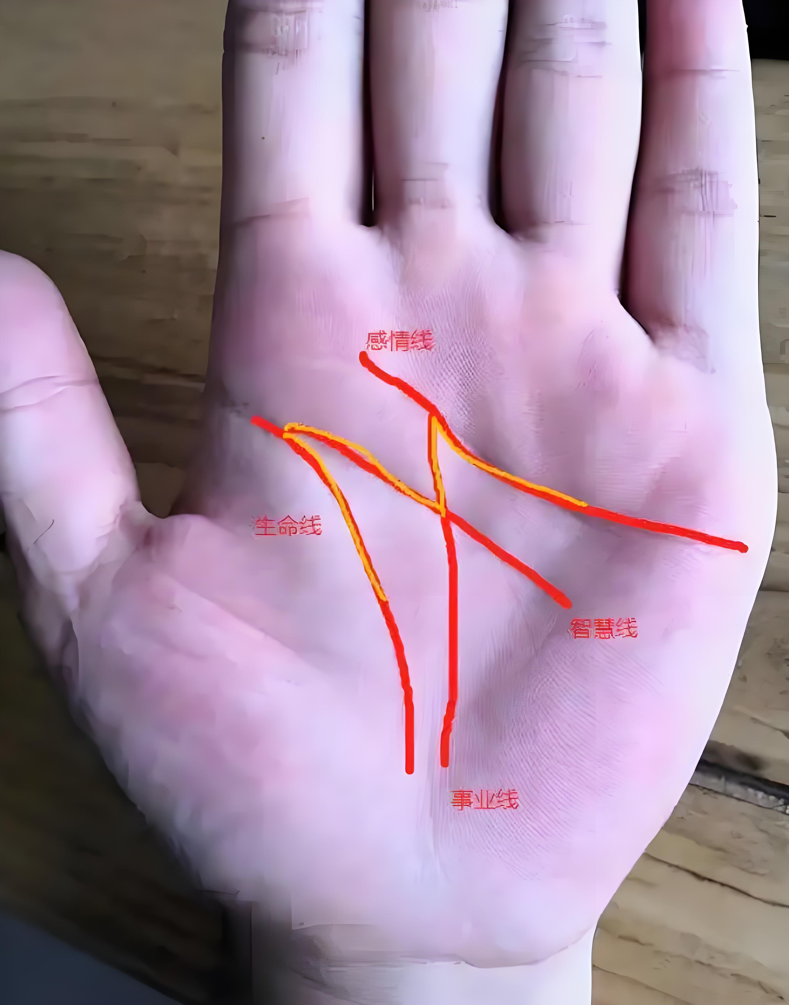 白度母文化背景与掌心"m"纹的象征意涵