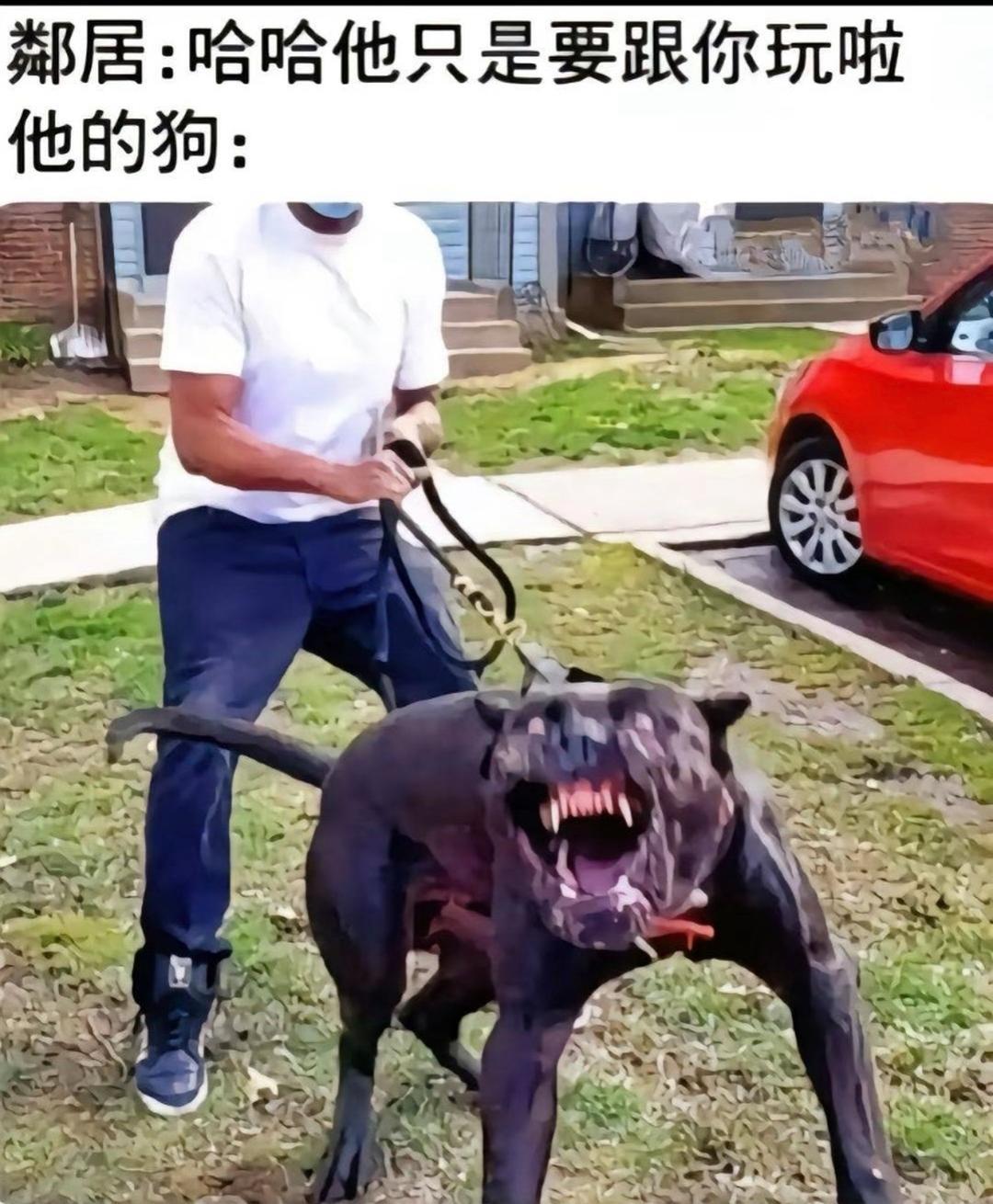 梗图[search_image]梗图分享