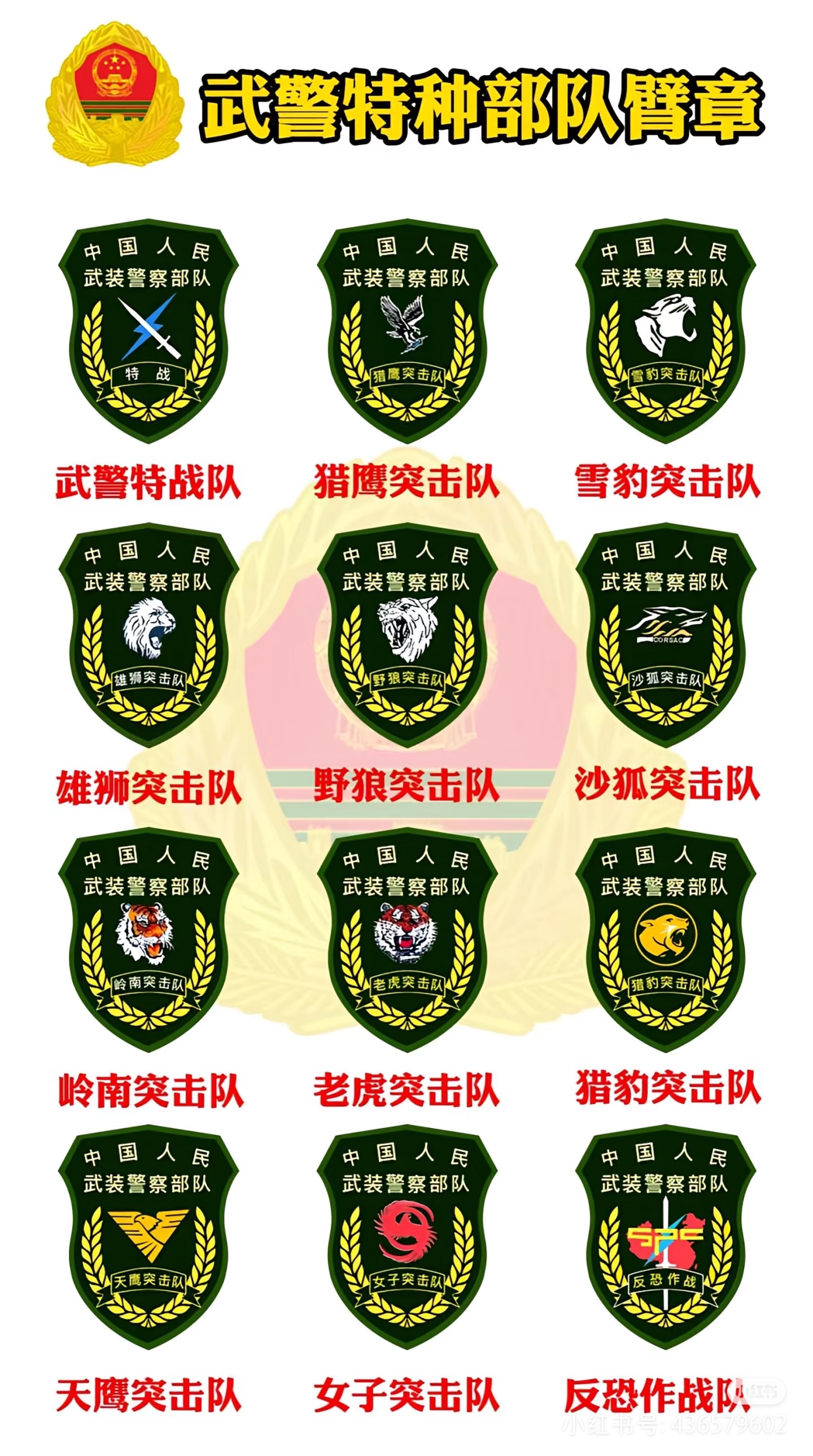 武警特战臂章图样!