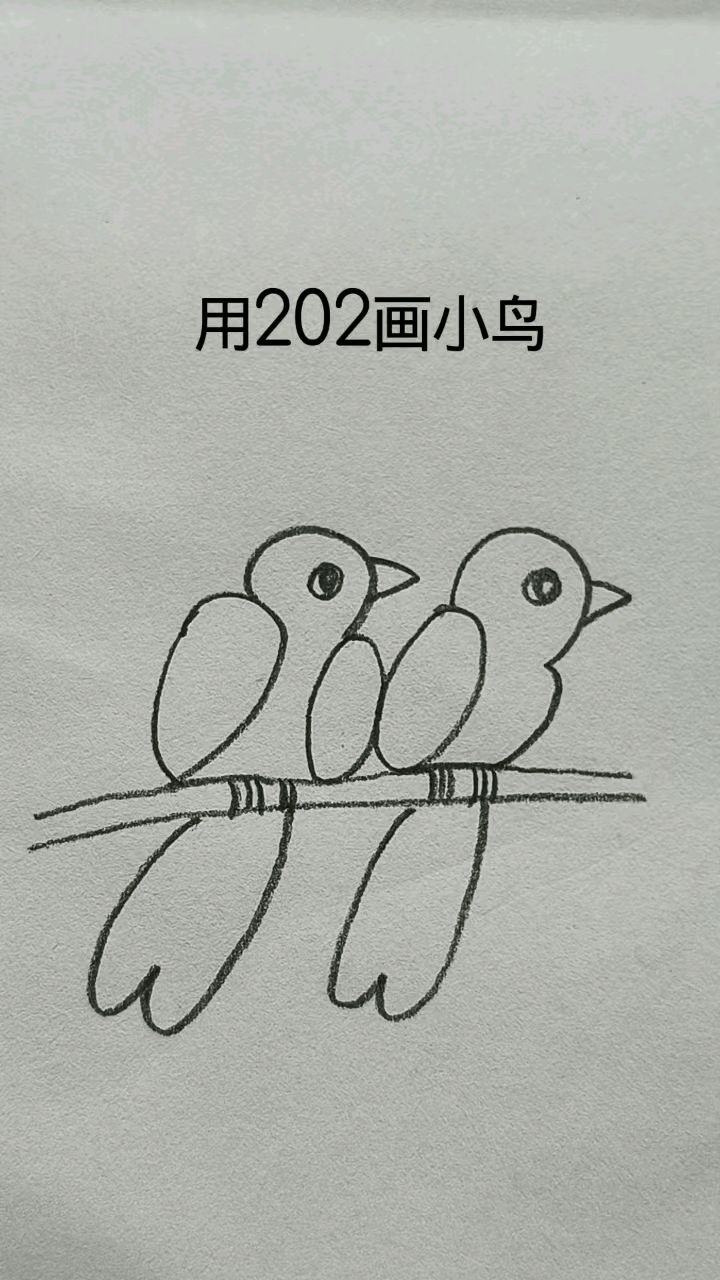 用数字202画两只小鸟