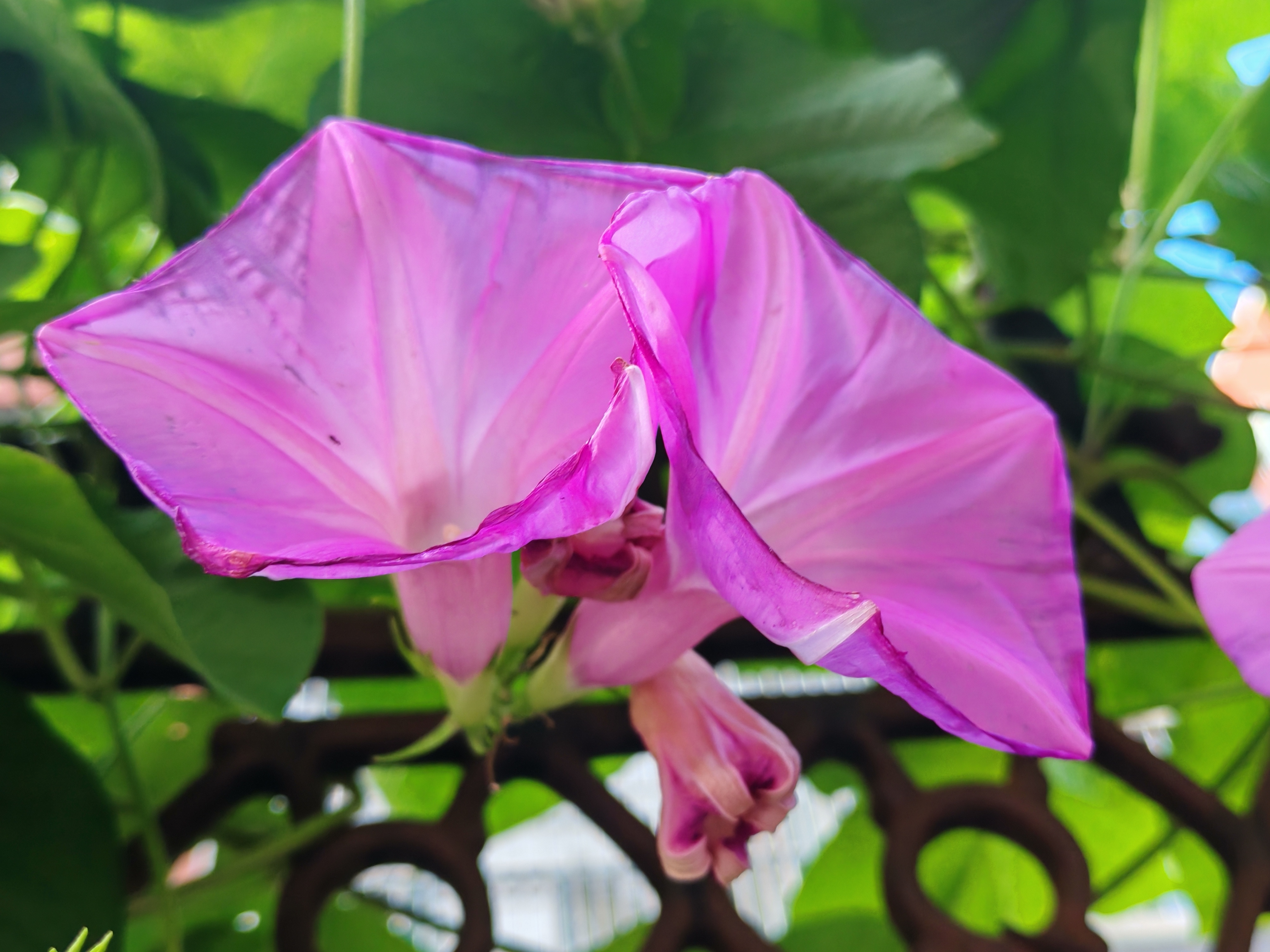 最喜欢下雨天了,可以安安静静地睡个懒觉,或者撑把小伞出门散步,听雨