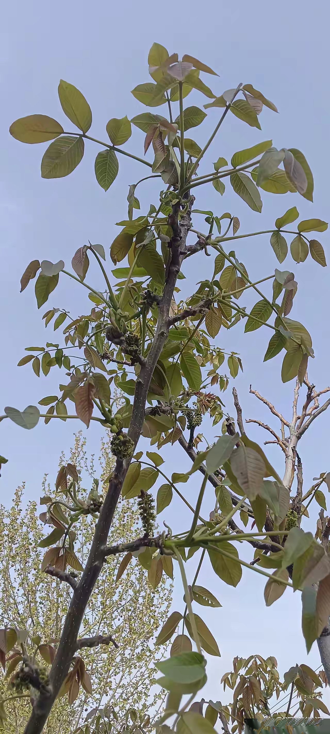 交警一查,他得负全责