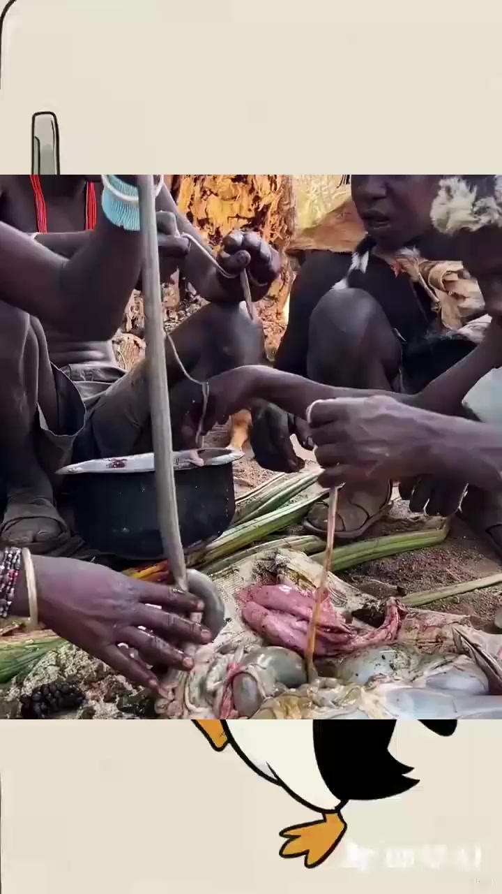非洲土著人大杂烩制作过程