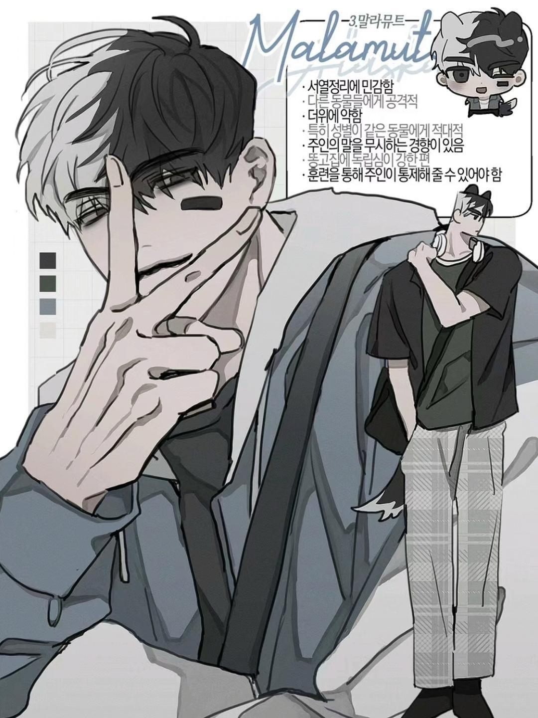 画师d