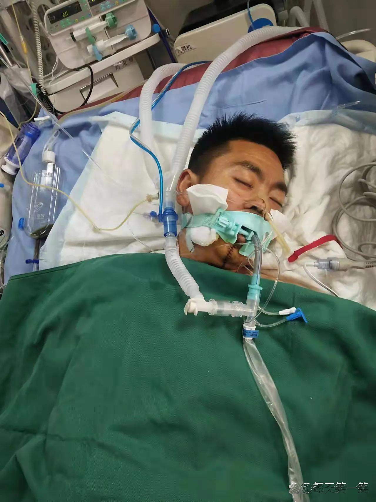 河北有个姓李的家庭,李明,王慧和儿子小杰,平时日子过得挺安稳