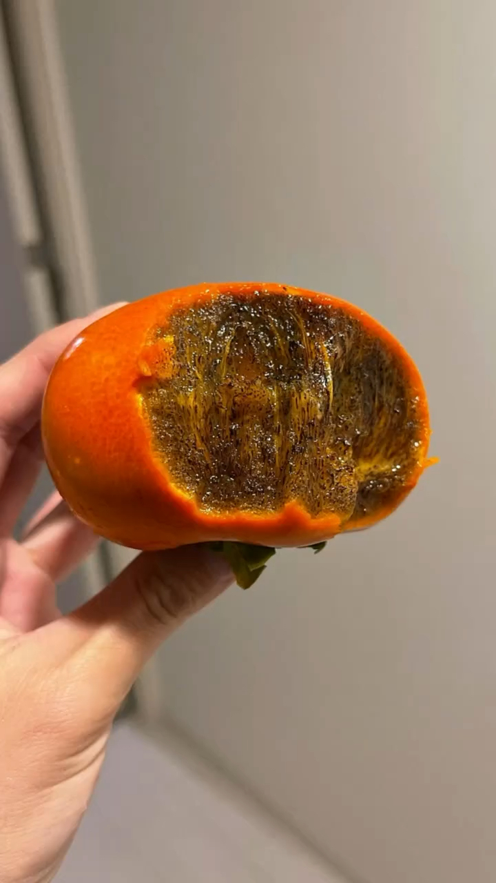 巧克力脆甜柿子脆甜多汁