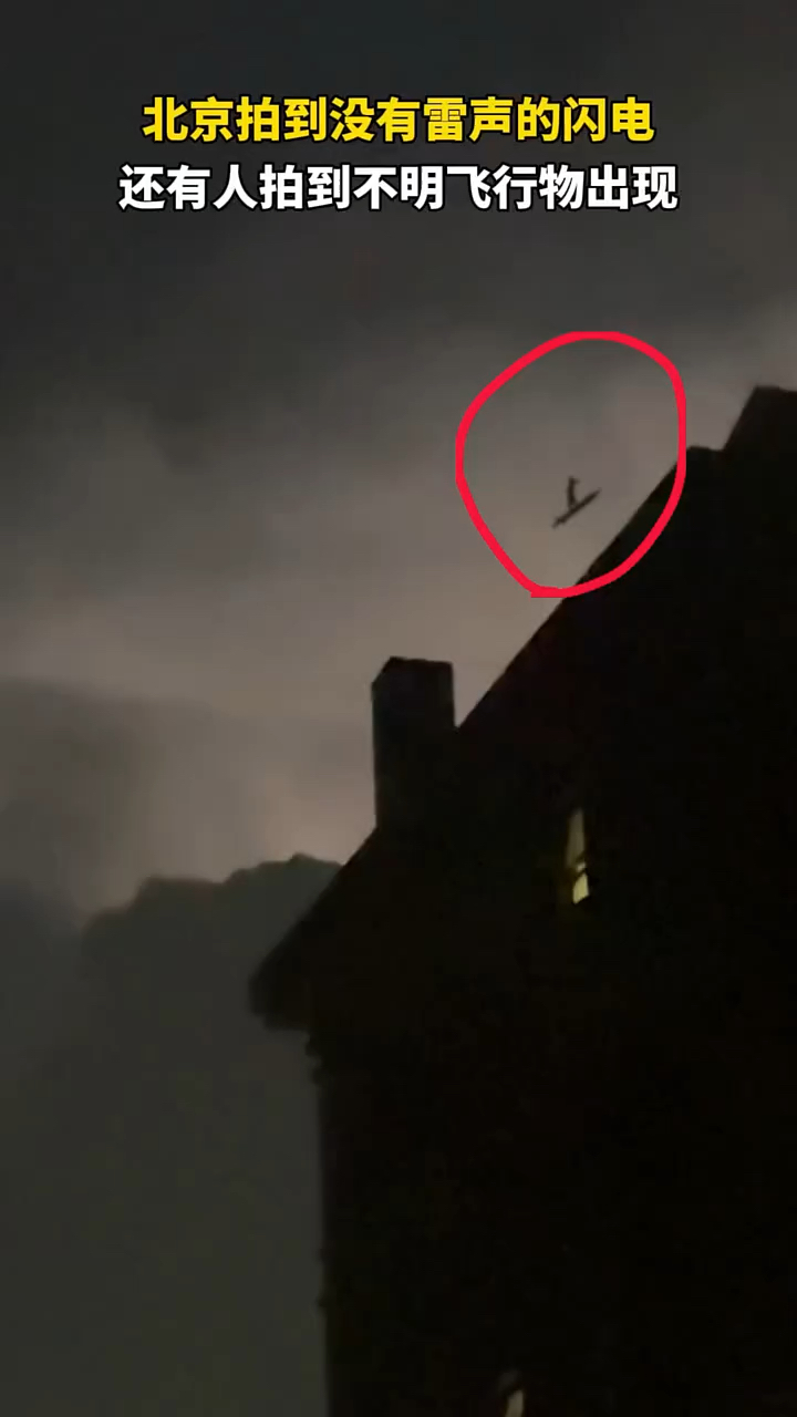 今日北京多人拍到不明生物