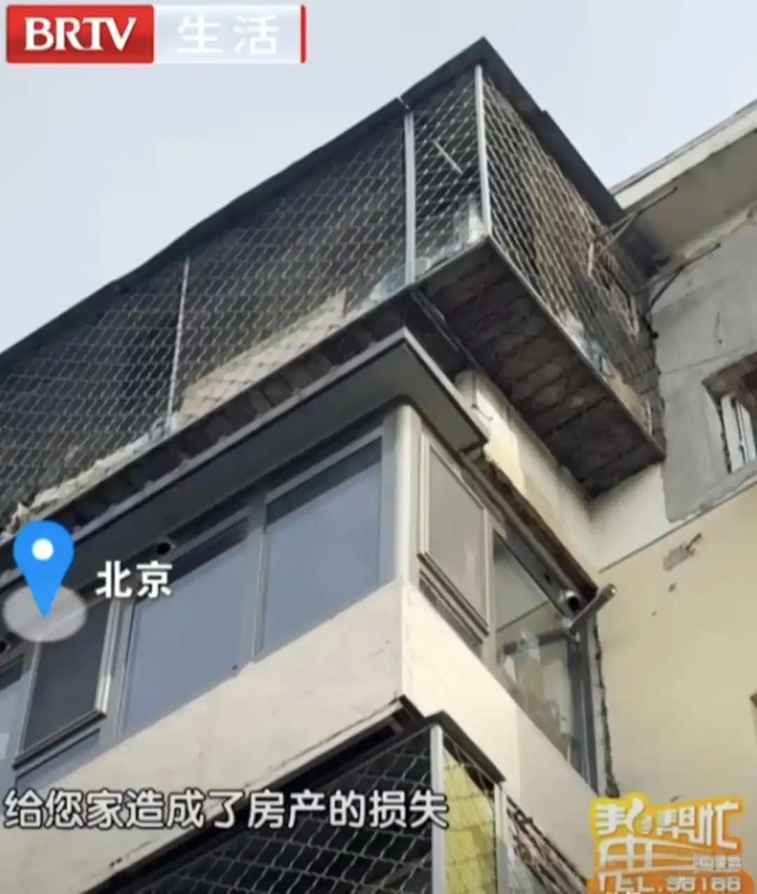 原来李先生家楼上有两个鸽舍里面养着上百只鸽子