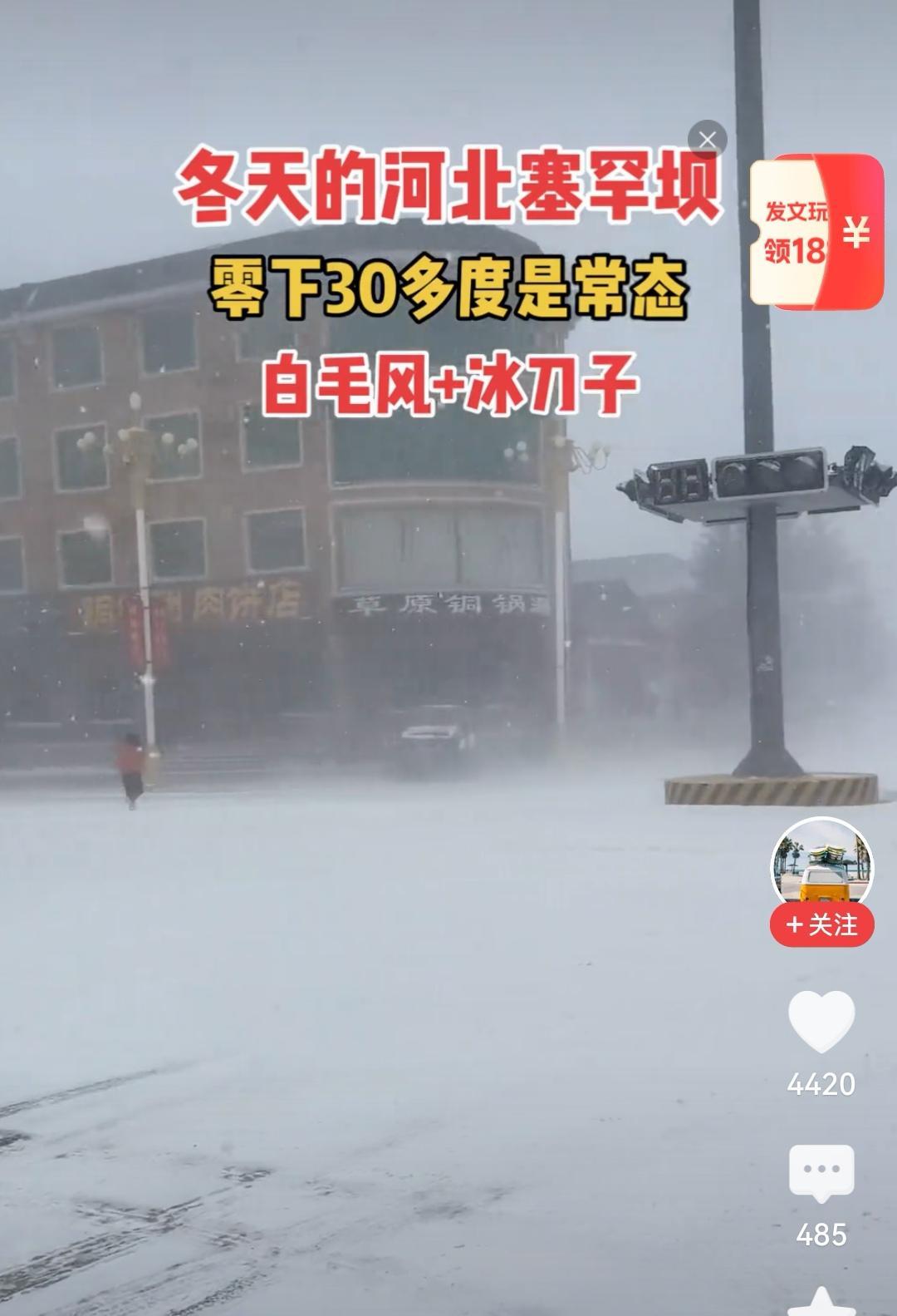 河北保定迎鹅毛大雪树木披银装全面防冻保暖指南请收好