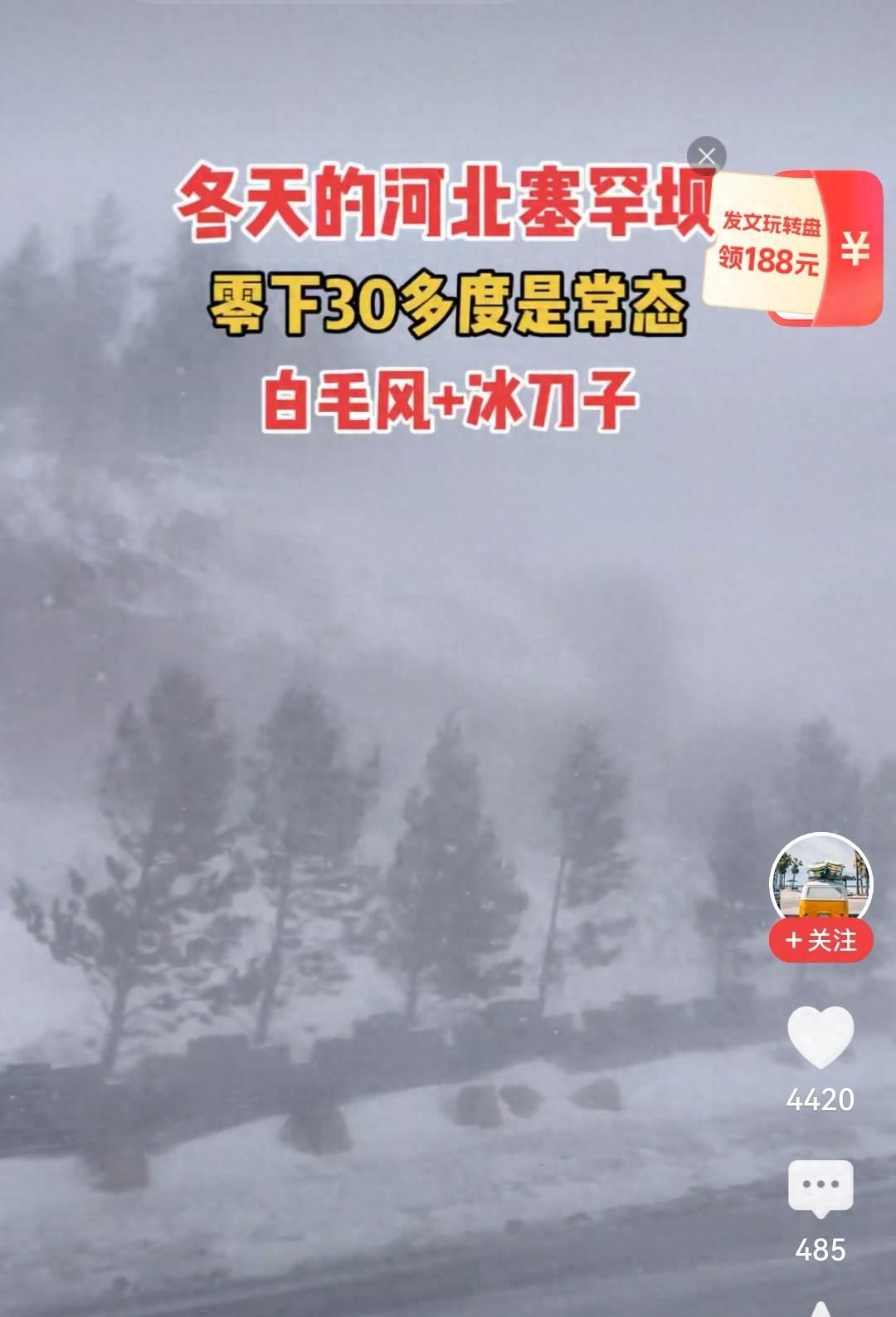 河北保定迎鹅毛大雪树木披银装全面防冻保暖指南请收好