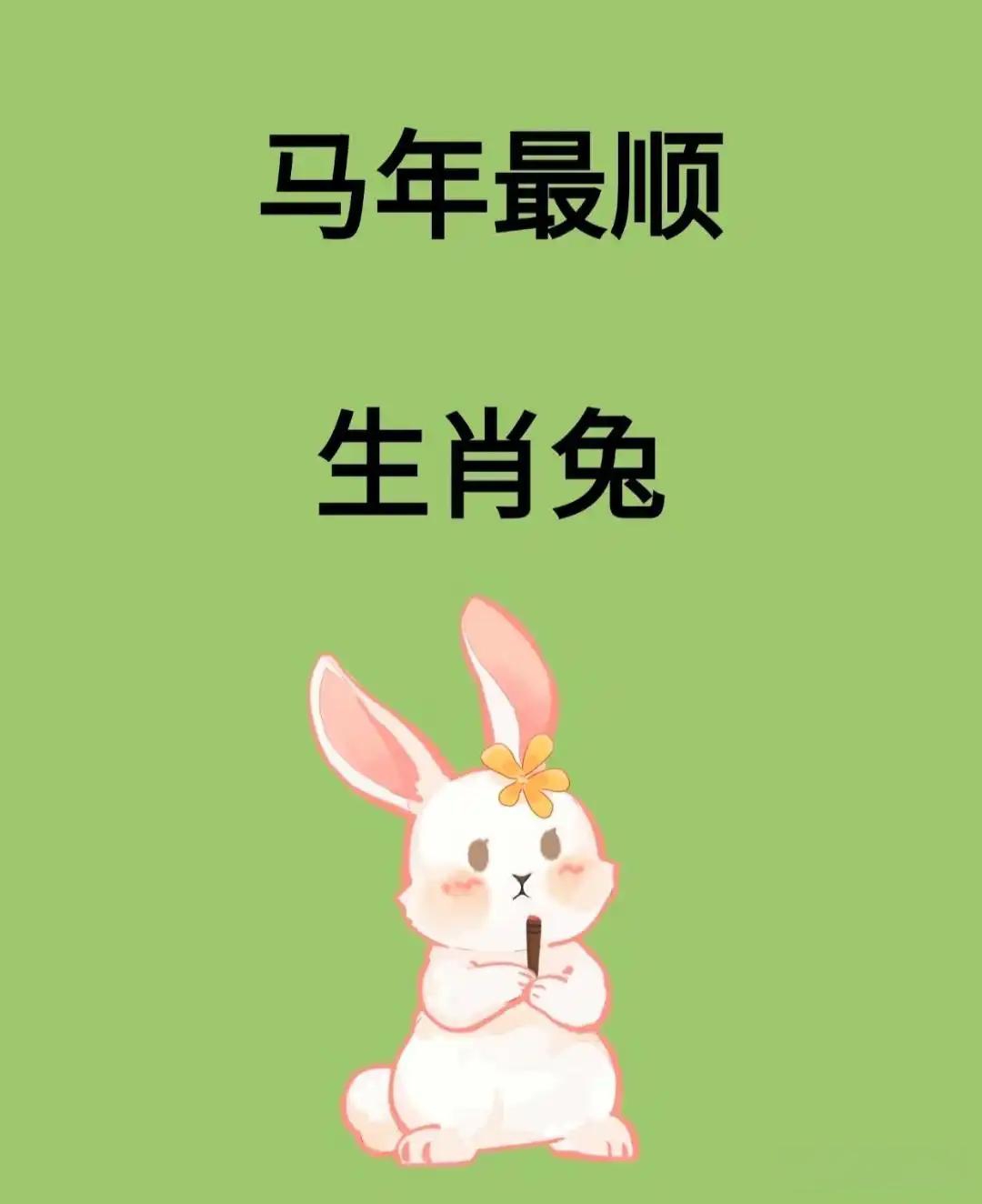 今天生肖兔运势怎么样(生肖兔今天运势查询水墨先生)