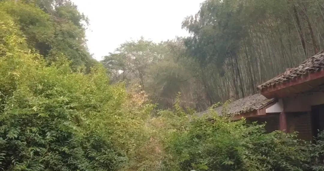 重庆北碚深山里的孔雀谷,咋就从火爆山庄变成危险废墟了