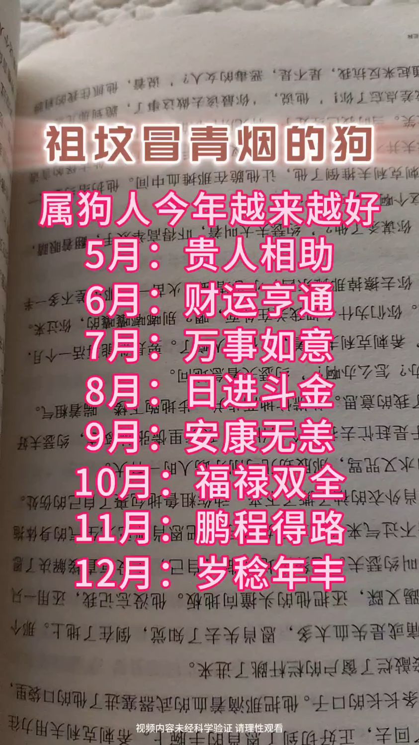 23年狗生肖运势怎么样(23年狗生肖运势怎么样呢)