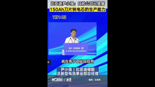 比亚迪率先量产钠电池？新电池成本更低续航够用，国产车又要领跑了！-有驾