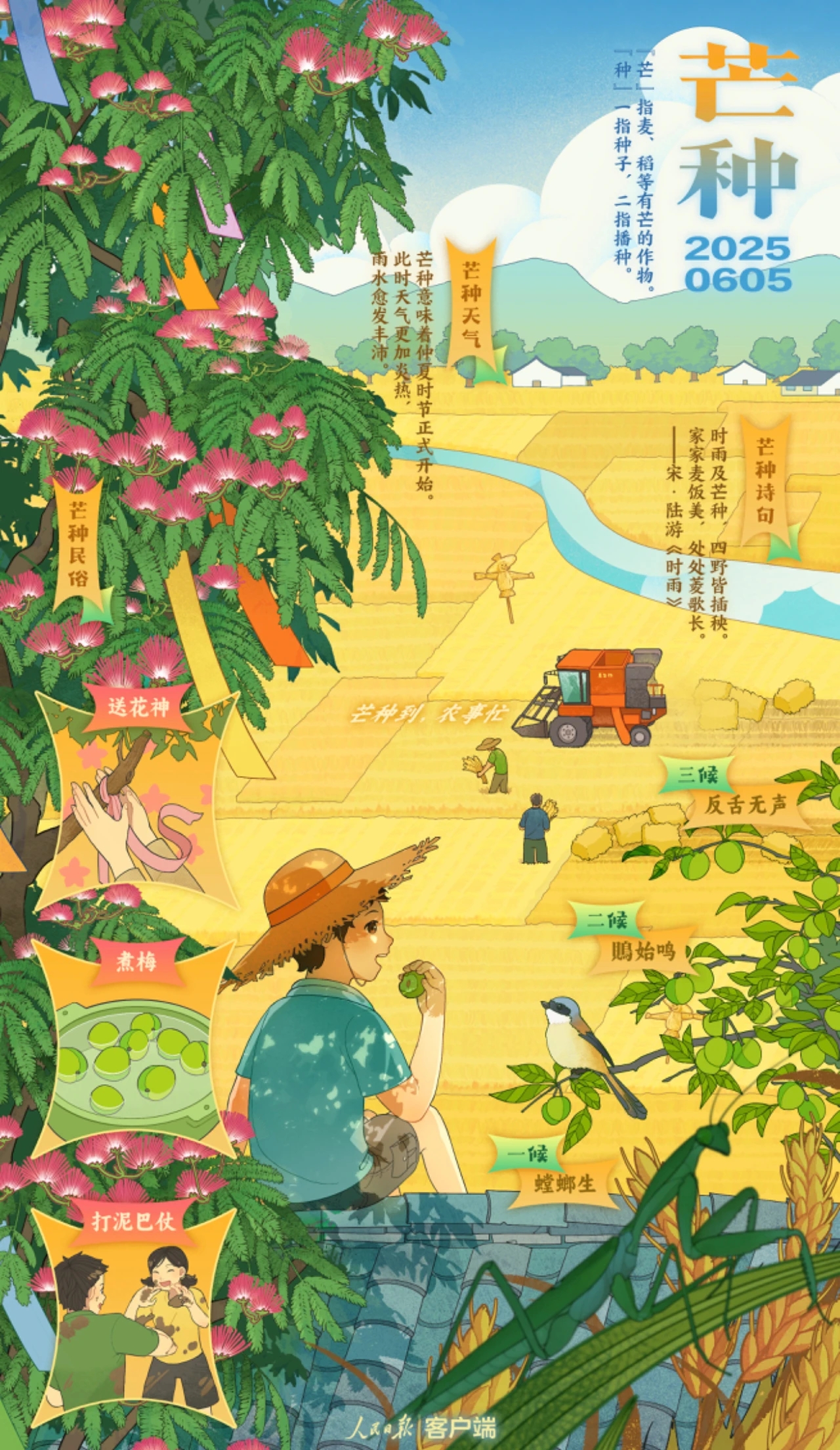 芒种,别称"忙种",是二十四节气的第九个节气,夏季的第三个节气