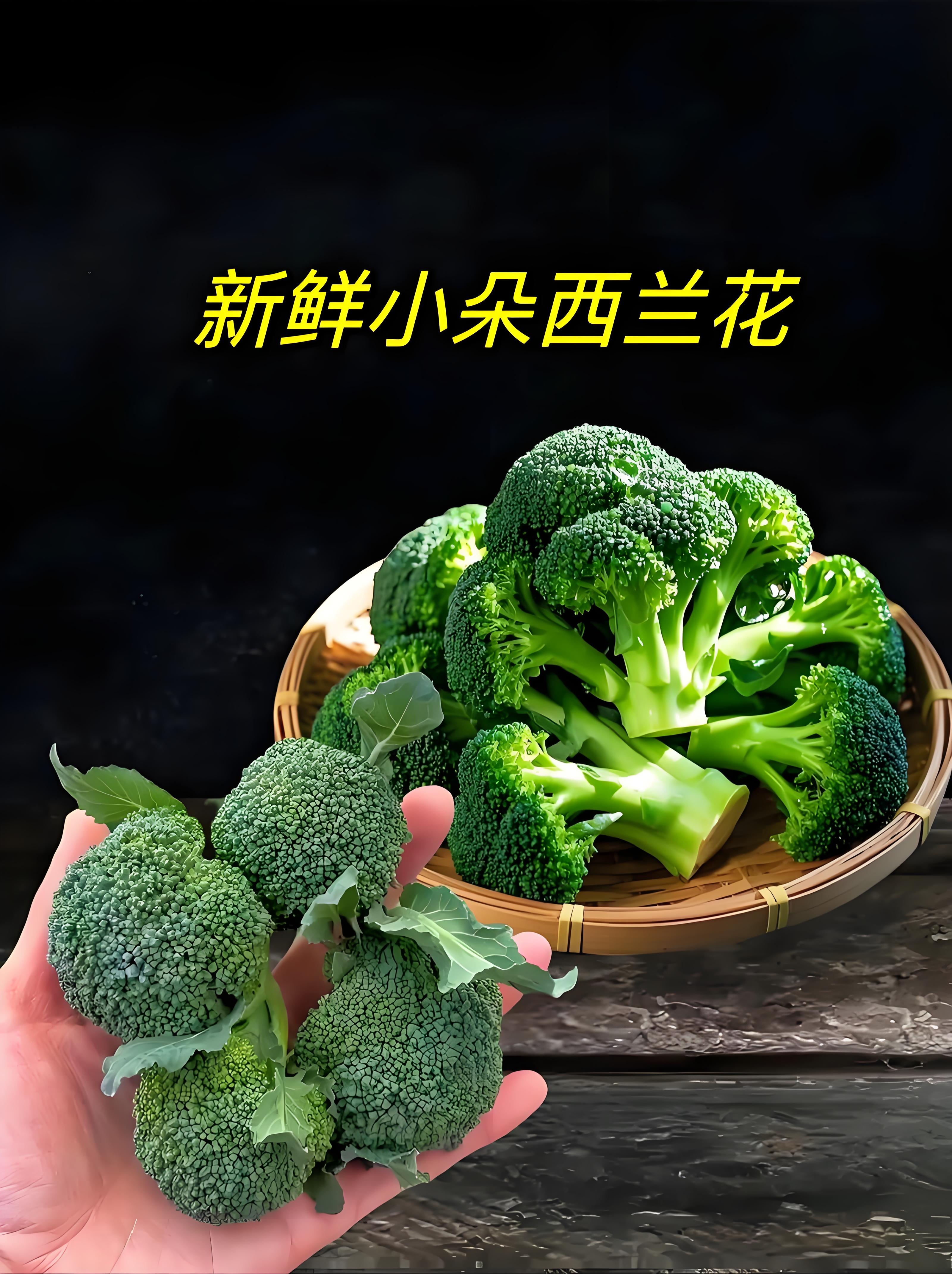其儿童餐连一个新鲜西兰花都不用