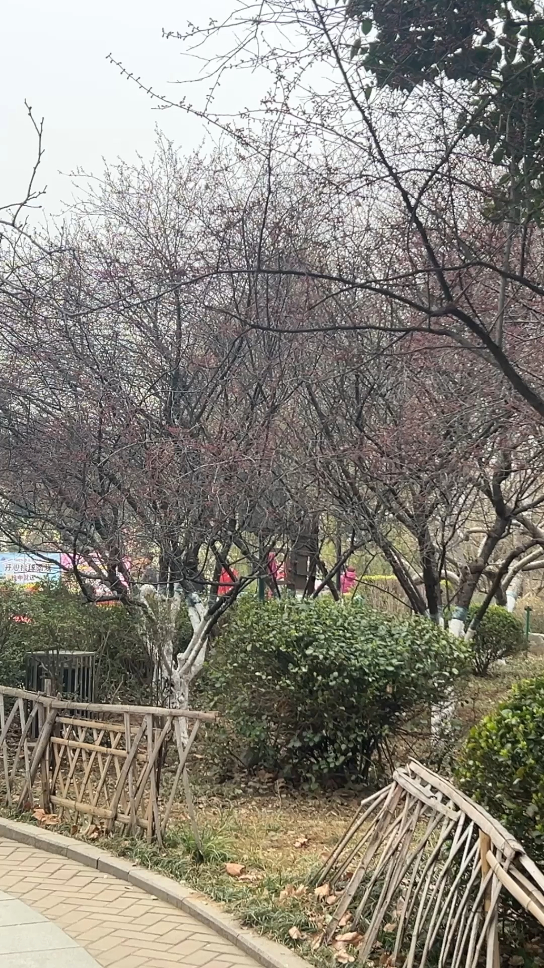 济南百花公园=济南百花公园坐几路公交车
