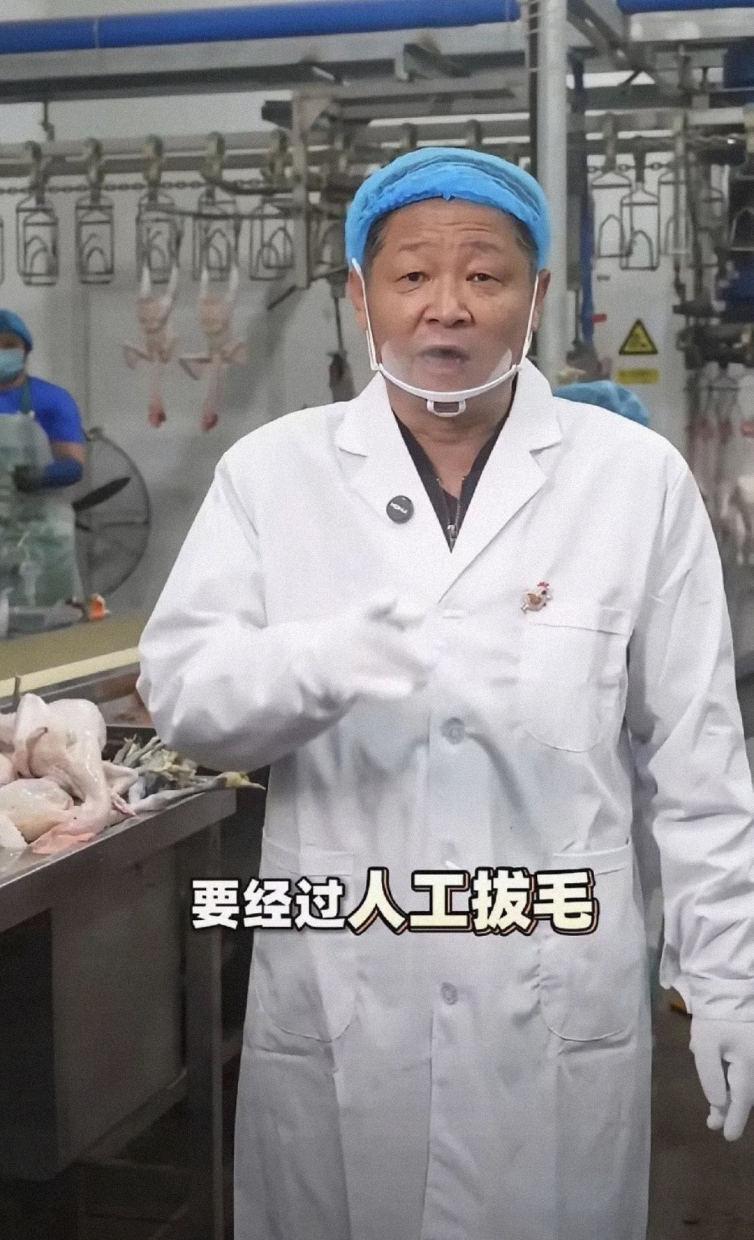 马上就要破产的节奏直播带大家进工厂看员工给鸡拔毛表示自己的每