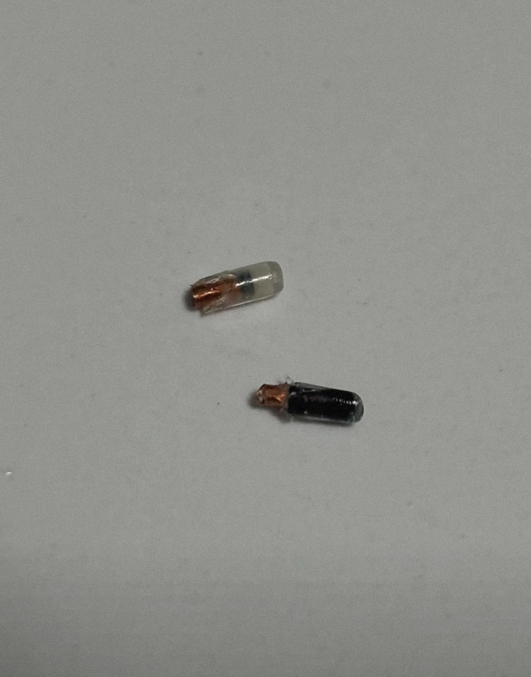 早就听说四川这边吃牦牛肉是特色特意找了一家有牦牛肉的餐馆乘了