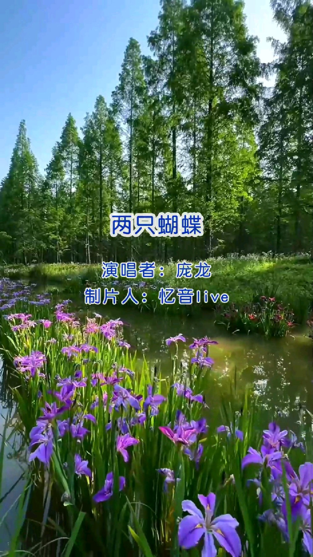 《两只蝴蝶》演唱:庞龙,经典怀旧歌曲