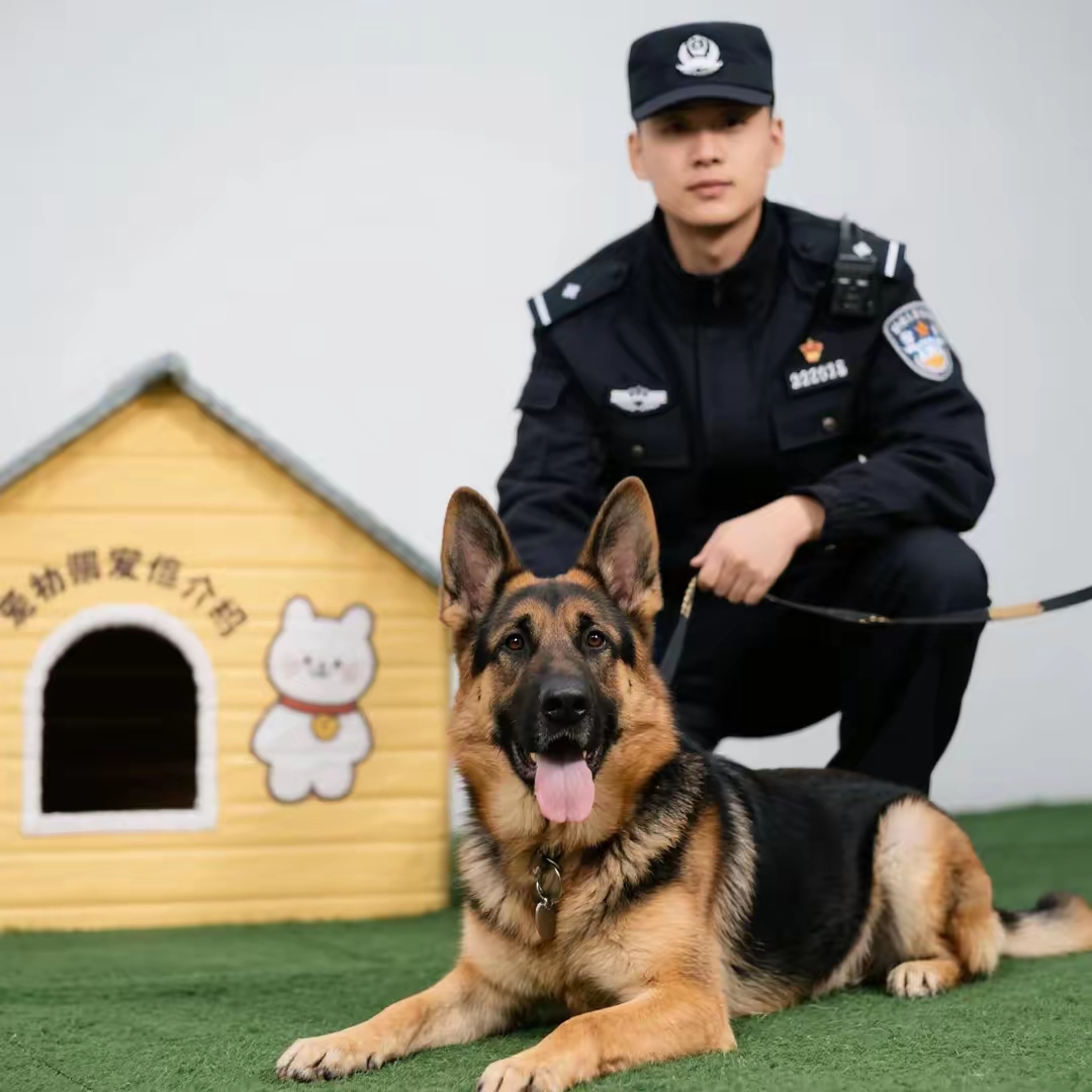 2025年5月25日晚重庆两岁男童兵兵走失,42小时后警犬"玛丽"凭气味,2